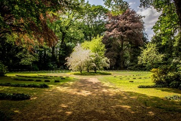 Spécialiste de l'entretien parcs et jardins